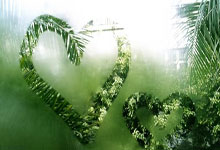 [NBA]詹姆斯接球快速反击 上篮打成2+1.