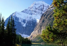 [图]NBA-步行者115-114险胜雄鹿 字母哥19+17+7.